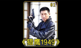 电视剧猎鹰1949全集在线观看免费,揭秘抗战时期传奇猎鹰队的英勇事迹